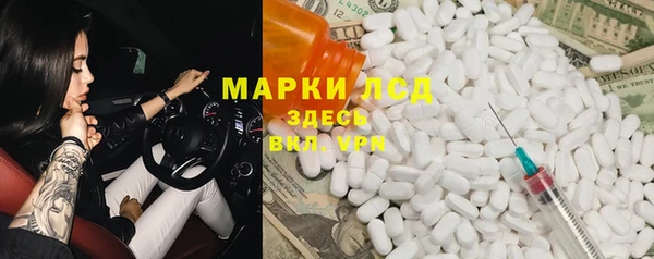 индика Гусь-Хрустальный