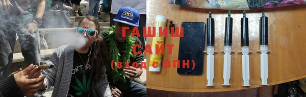 индика Гусь-Хрустальный