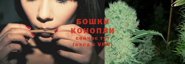 индика Гусь-Хрустальный