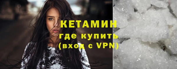 индика Гусь-Хрустальный