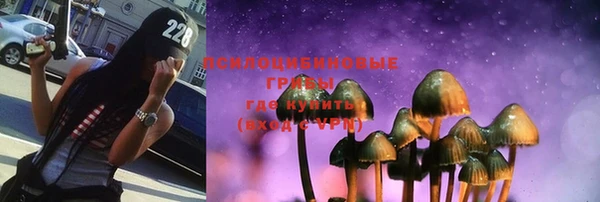 2c-b Гусиноозёрск
