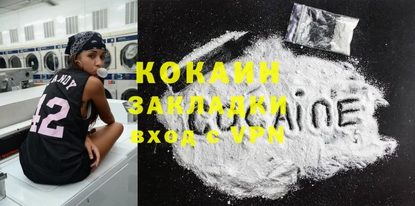 индика Гусь-Хрустальный
