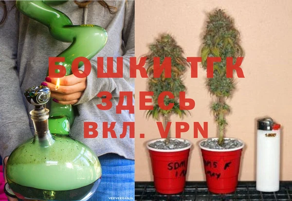 экстази Гусев