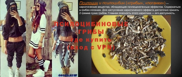 экстази Гусев