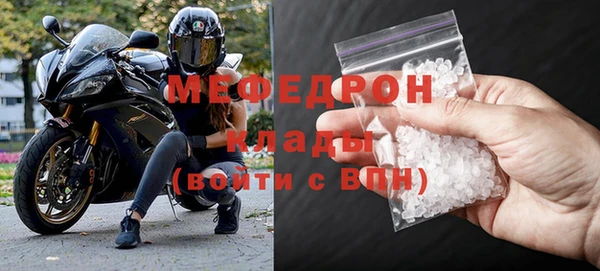 индика Гусь-Хрустальный