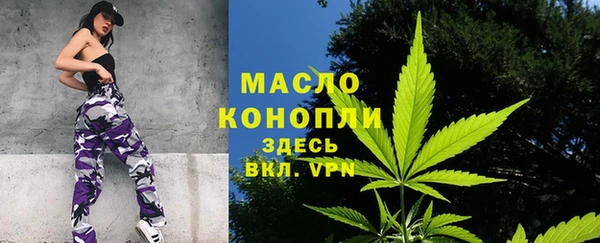 экстази Гусев