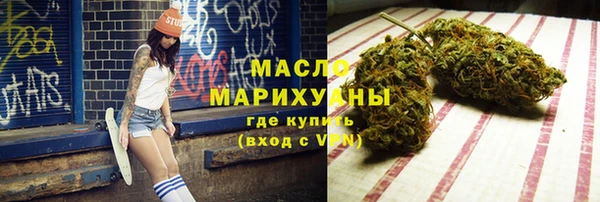 индика Гусь-Хрустальный