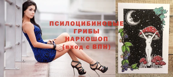 индика Гусь-Хрустальный