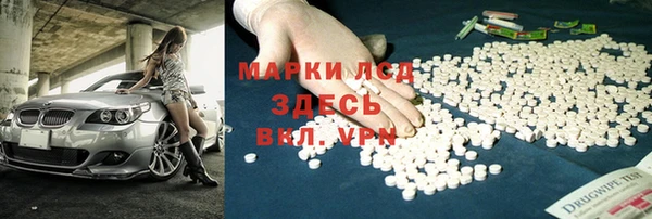 индика Гусь-Хрустальный