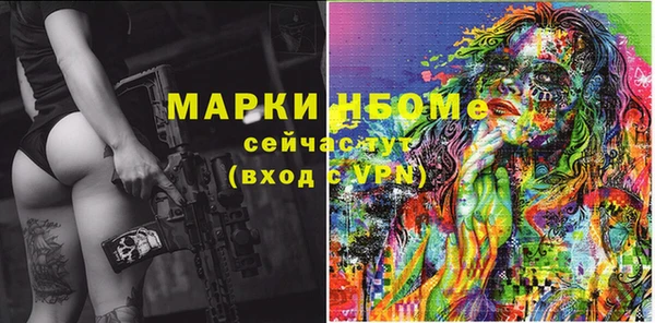 индика Гусь-Хрустальный