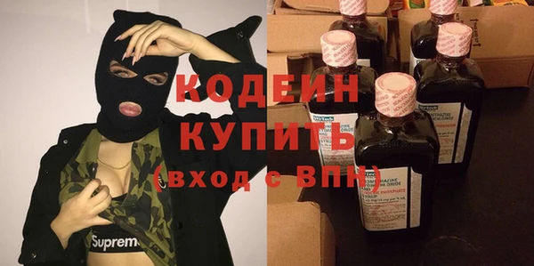 индика Гусь-Хрустальный