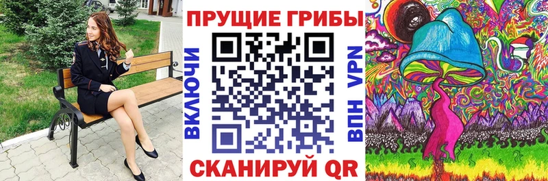 Галлюциногенные грибы GOLDEN TEACHER  где купить наркотик  Дорогобуж 